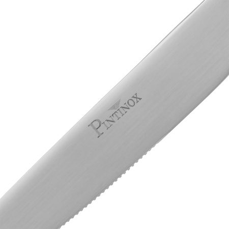 Фото Нож столовый Pintinox Sky Satin L 228 мм — арт. 294U0003 3