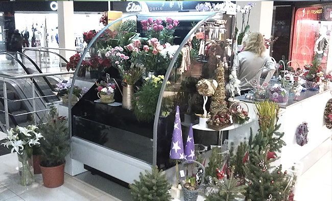 Фото Холодильная горка для цветов Иней Lida Stella maxi 1,0 Flora 2