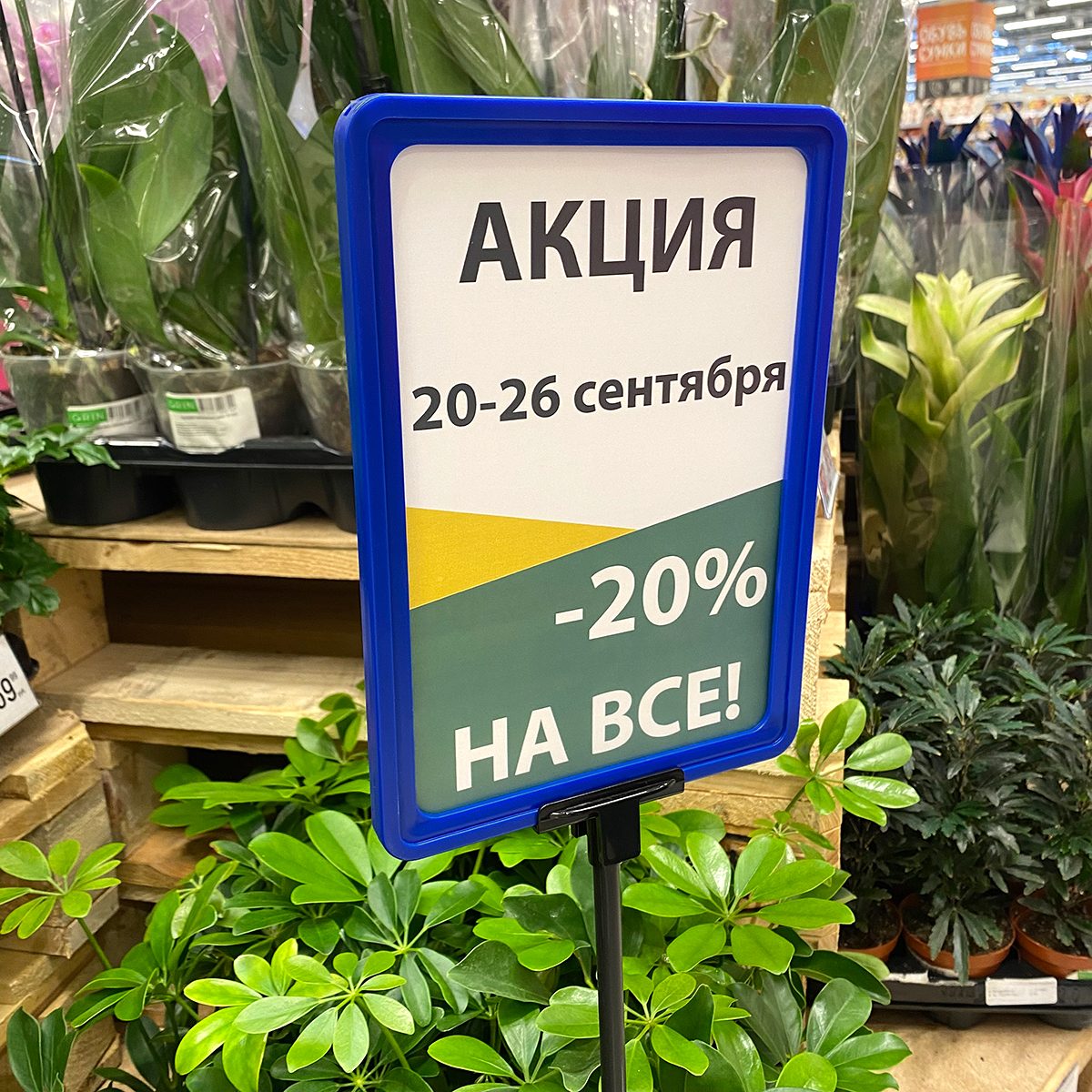 Фото Рамка EuroposGroup PF-A5 с закругленными углами, цвет синий 2