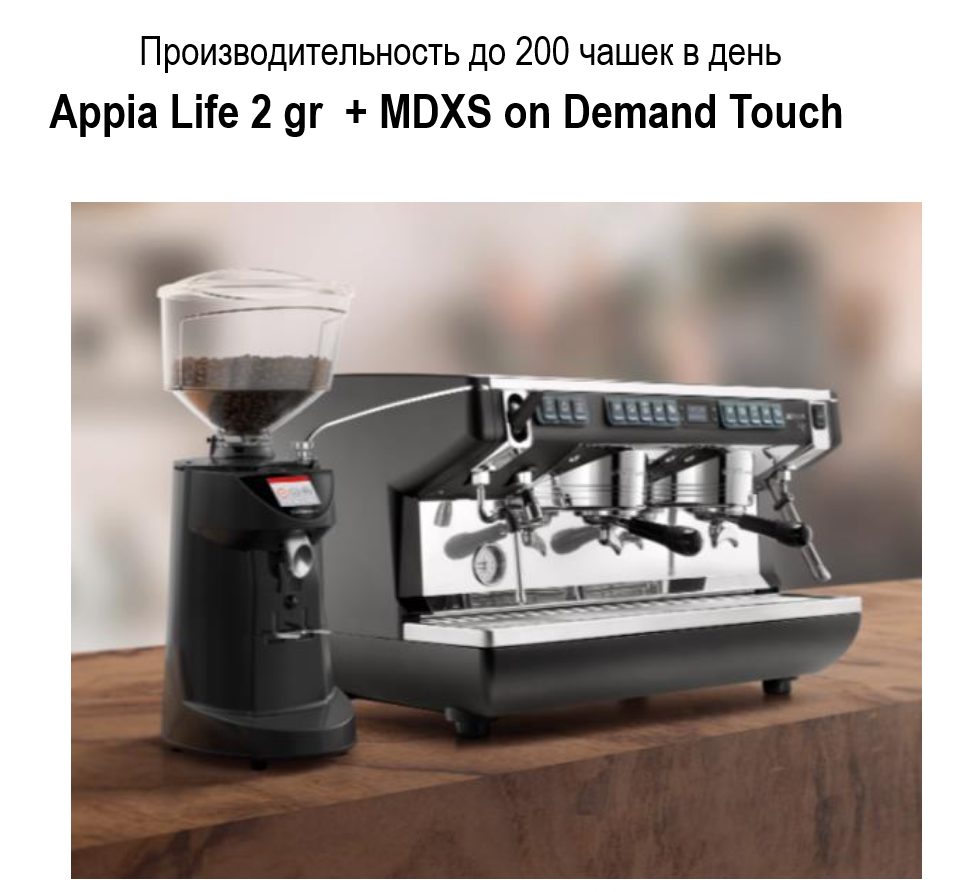 Фото Кофемашина рожковая полуавтоматическая Nuova Simonelli Appia LIFE 2gr red + high groups + economizer 1