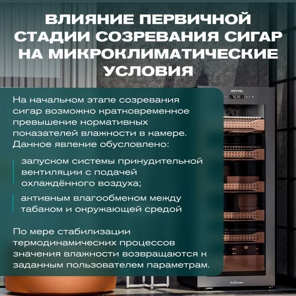 Фото Шкаф для сигар Meyvel MC-200BK (PRO) 3