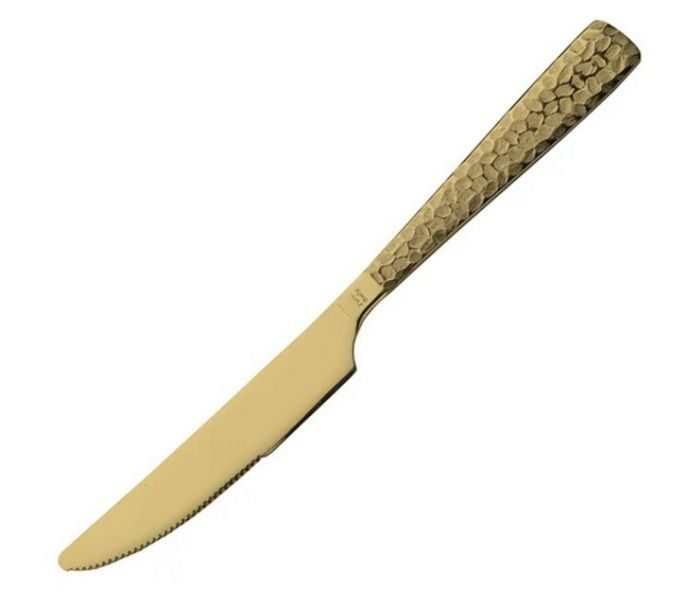 Нож десертный Pintinox 200 мм артикул 1TG00006