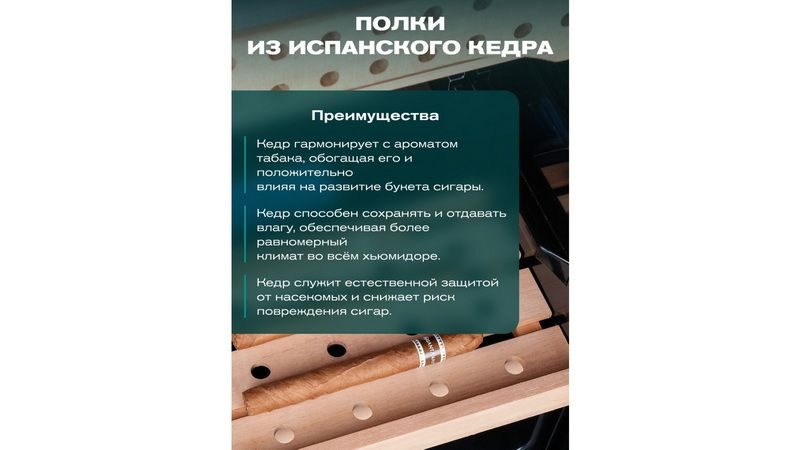 Фото Шкаф для сигар Meyvel MC-200BK (PRO) 6