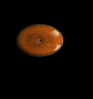 Фото Перечница Corone Cocorita оранжевая — арт. фк8845 1