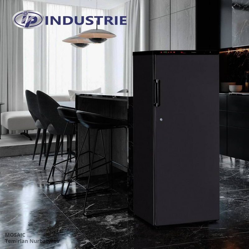 Фото Шкаф для вызревания мяса IP Industrie SAL 300 CF 1