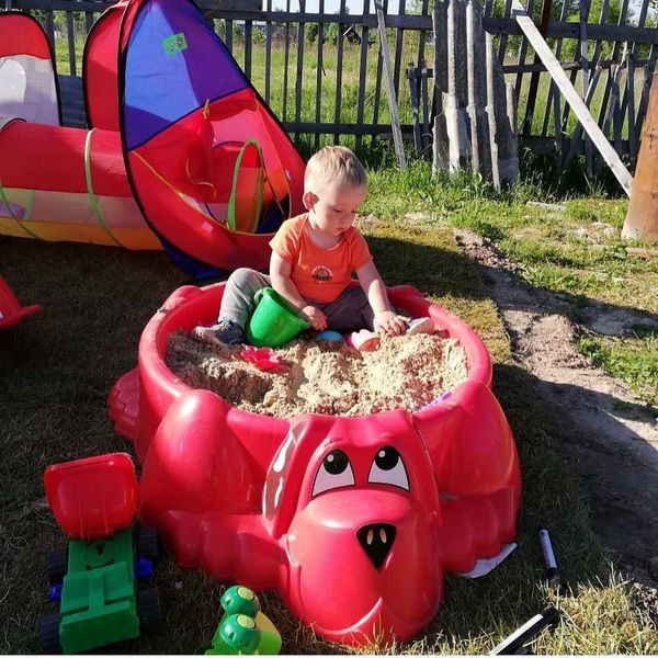 Фото Песочница Sheffilton KIDS Собачка 373 голубой 8