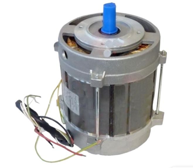 Двигатель FIMAR SA1009 для мясорубки 22RS/TS 220V