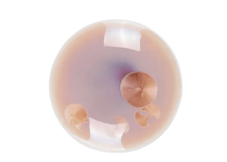 Фото Блюдо для подачи Royal Charm Frost D 100 мм, H 40 мм, коричневый — арт. ZH384-Y193/B 1