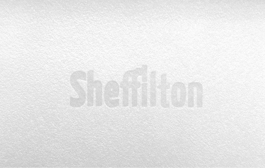 Фото Стул Sheffilton SHT-ST29/S37 белый/черный муар 2