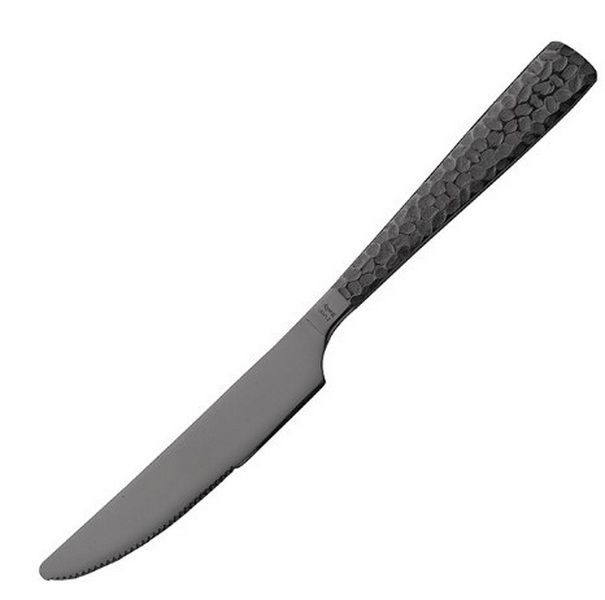 Нож столовый Pintinox 222 мм артикул 1TD000L3