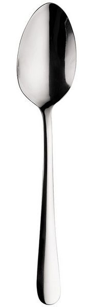 Ложка столовая Pintinox 170 мм артикул R040M001