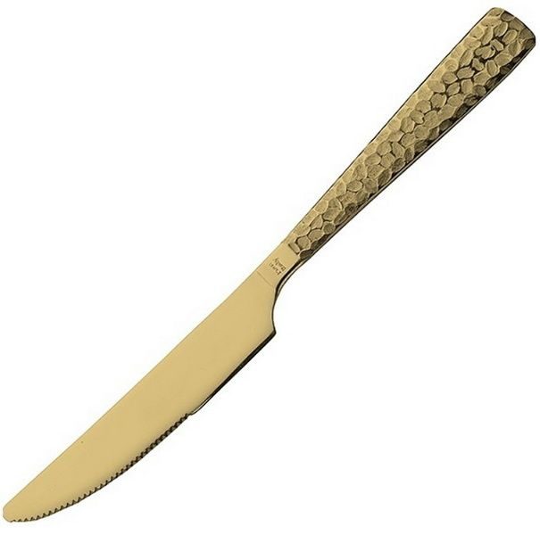 Нож столовый Pintinox 222 мм артикул 1TG000L3