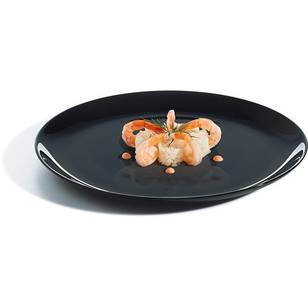 Фото Тарелка Arcoroc Evolution Black D 250 мм — арт. P1129 3