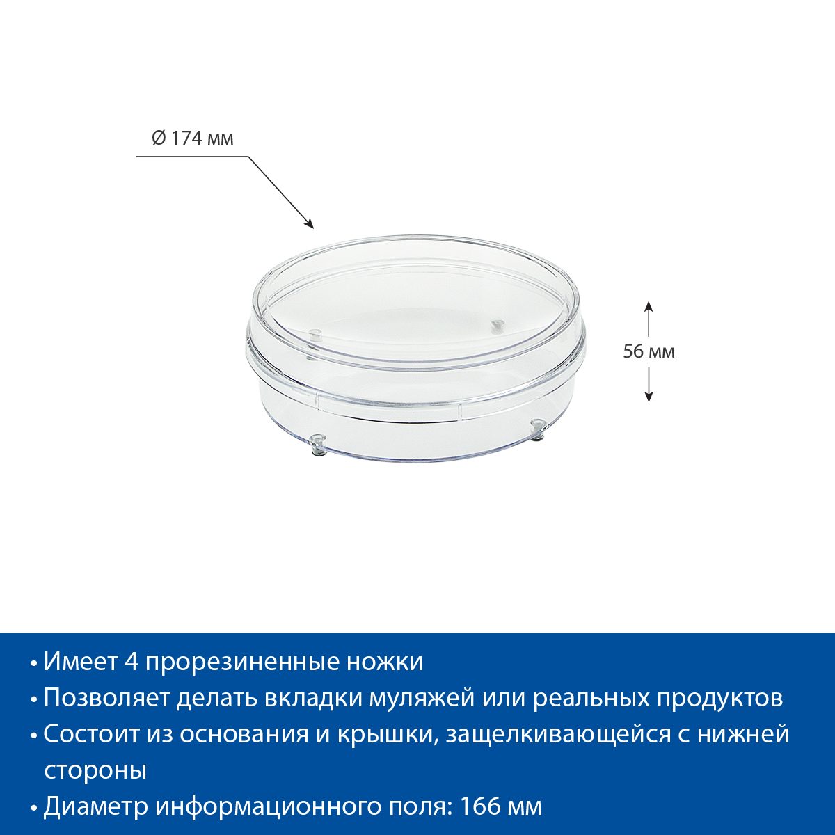 Фото Монетница EuroposGroup RONDA-XL 2