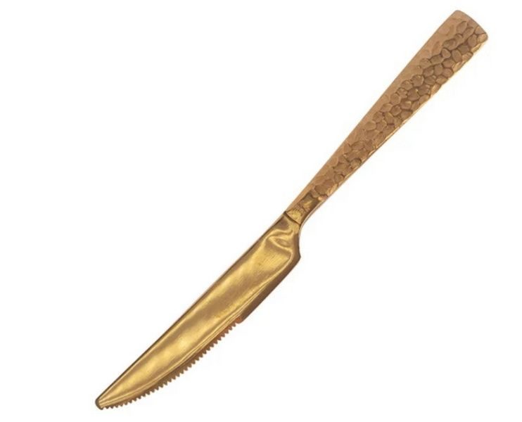 Нож столовый Pintinox 220 мм артикул 1TG00003