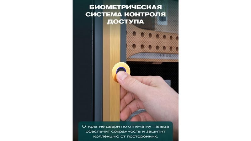 Фото Шкаф для сигар Meyvel MC-200BK (PRO) 13