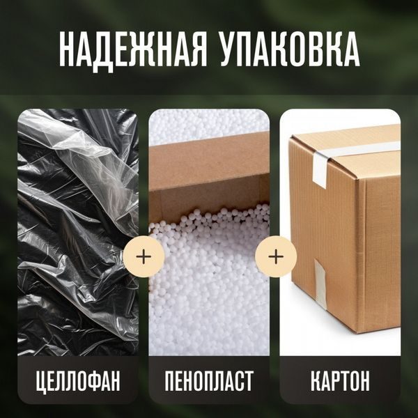 Фото Чайник электрический Meyvel MKE-03T (Black) 18