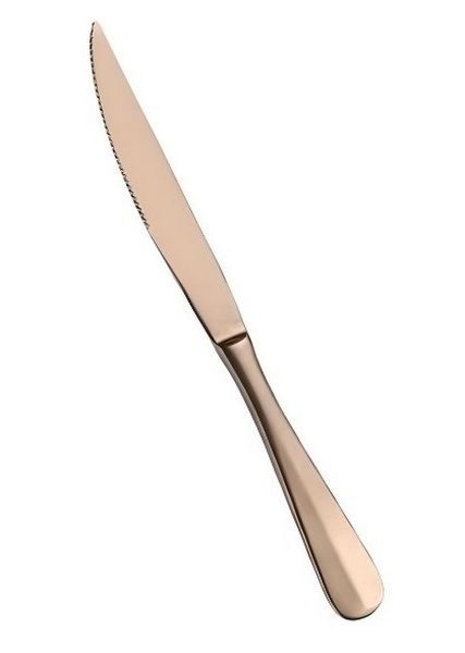 Нож для стейка Pintinox 230 мм артикул 0WB20067