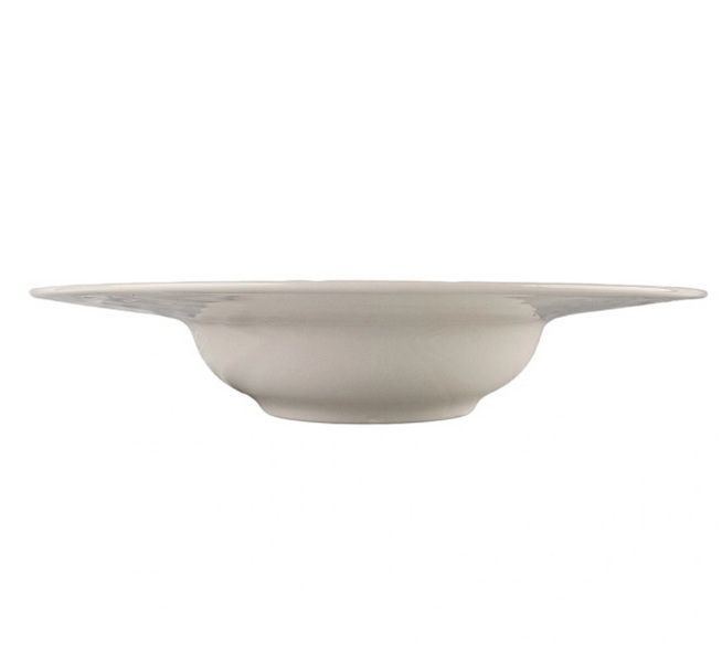 Фото Тарелка Kutahya Bone Wellington D 270 мм H 51 мм — арт. BNWLNG27SPT00 4