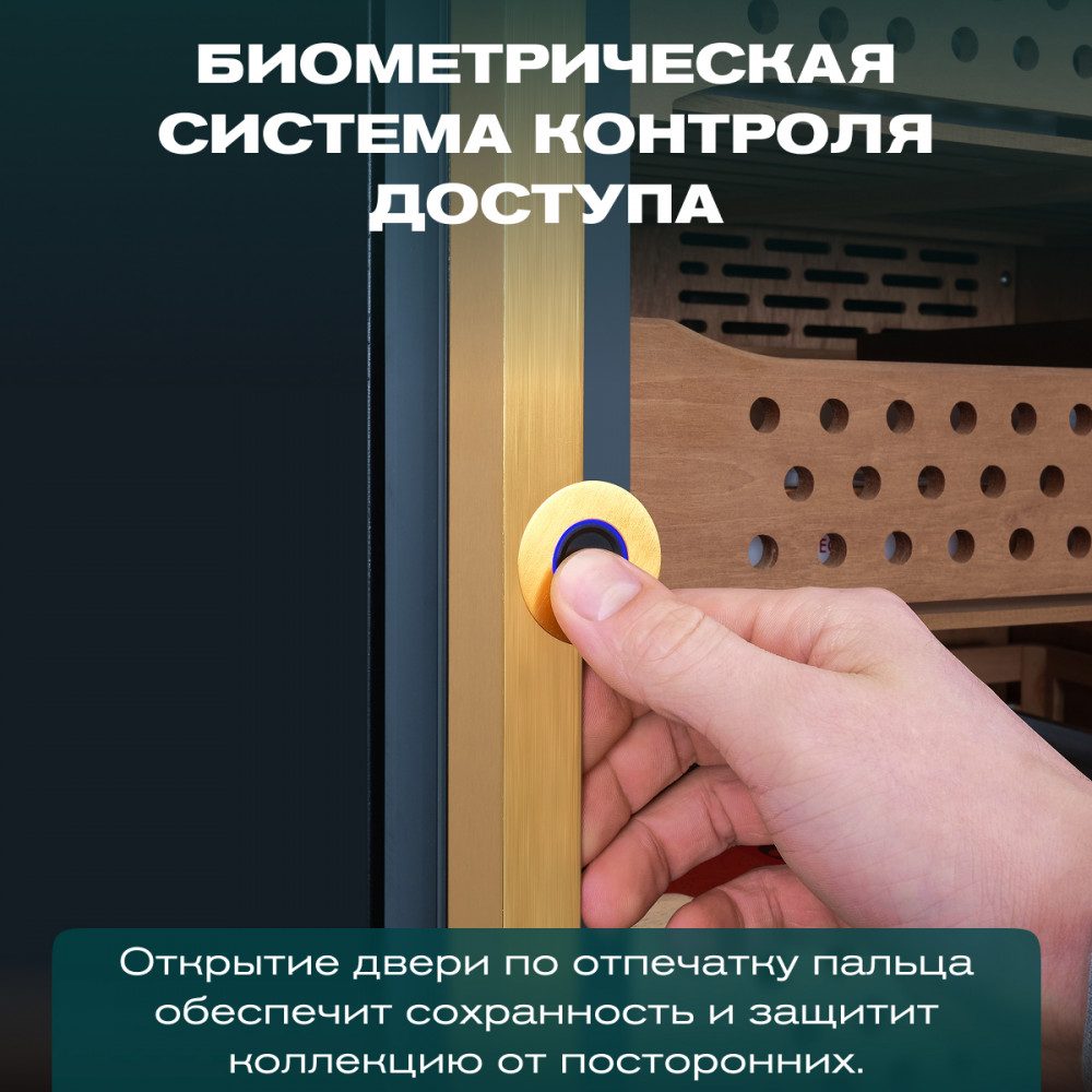 Фото Шкаф для сигар Meyvel MC-376BK (PRO) 10