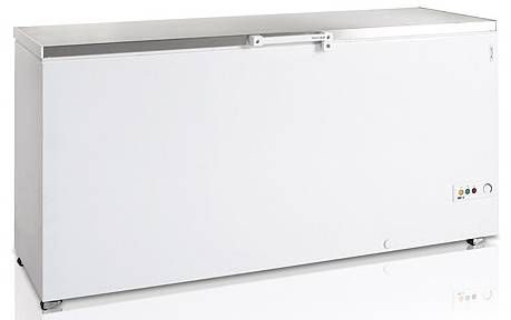 Морозильный ларь TEFCOLD FR605S/R600