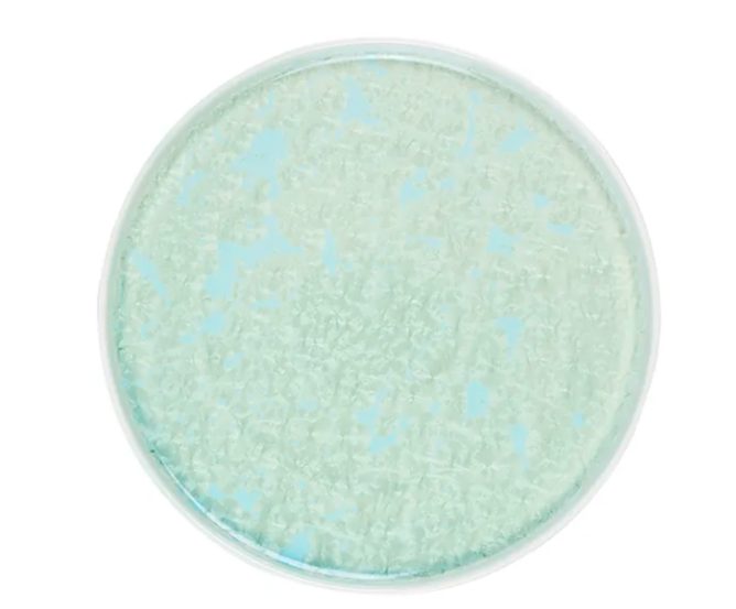 Тарелка Royal Charm Frost D артикул XJ1011-Y191/G