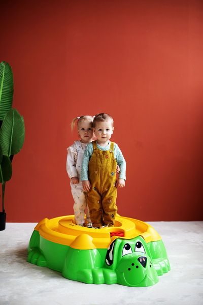 Фото Песочница Sheffilton KIDS Собачка с крышкой 432 зеленый/желтый 7