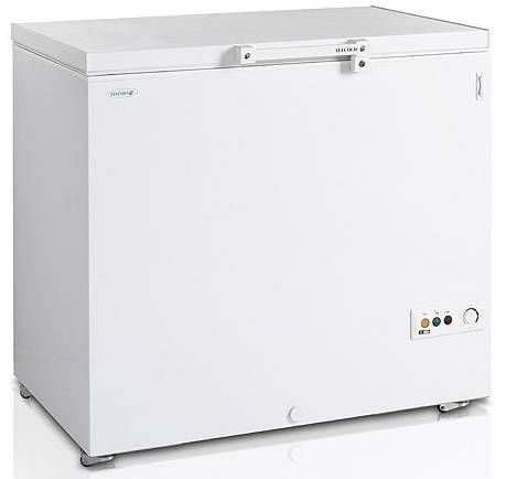 Морозильный ларь TEFCOLD FR305-I
