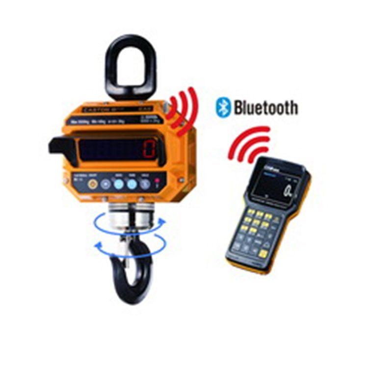 Фото Весы крановые CAS 2THD TWN 2